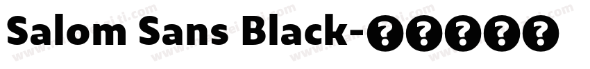 Salom Sans Black字体转换